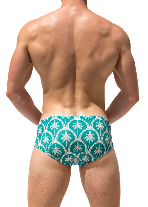 Green Royal Palm Brief