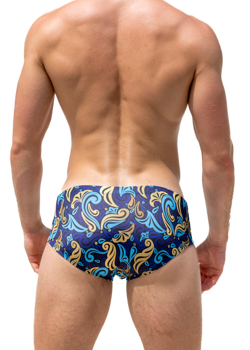 Waves Brief